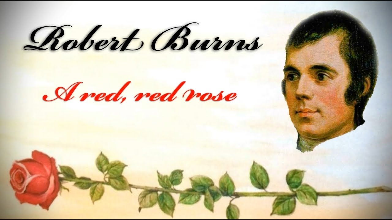 Robert Burns - 'A red red rose' - YouTube