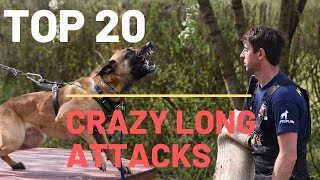 Malinois and german shepherd TOP  20 long attacks by Viorel Scinteie Modern Dog Training 99,080 views 4 years ago 9 minutes, 17 seconds