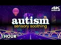 Autism Calming Sensory Meltdown Remedy Soothing Visuals Therapy