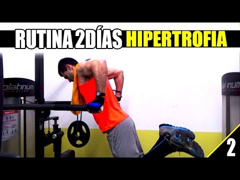 RUTINA 2 DÍAS VOLUMEN | RUTINA FULLBODY 2 DÍAS HIPERTROFIA | DÍA 2 (B)