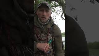 КАК НАУЧИТЯ МАНИТЬ УТКУ ДУХОВЫМ МАНКОМ  #охота #hunting