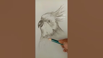 Thumbnail of #graphite #song #pencilart #sketch #shorts