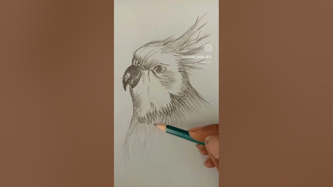 #graphite #song #pencilart #sketch #shorts