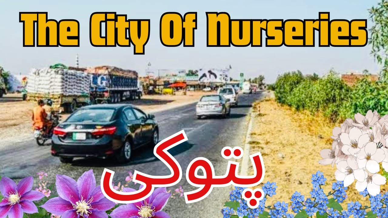 Pattoki Pattoki - Pakistan || City of Nurseries Pattoki || Multan Road Lahore ...