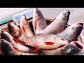 It&#39;s Amazing!!! Excellent Rohu Fish Cutting Live In Fish Market | Big Fish Cutting Skills