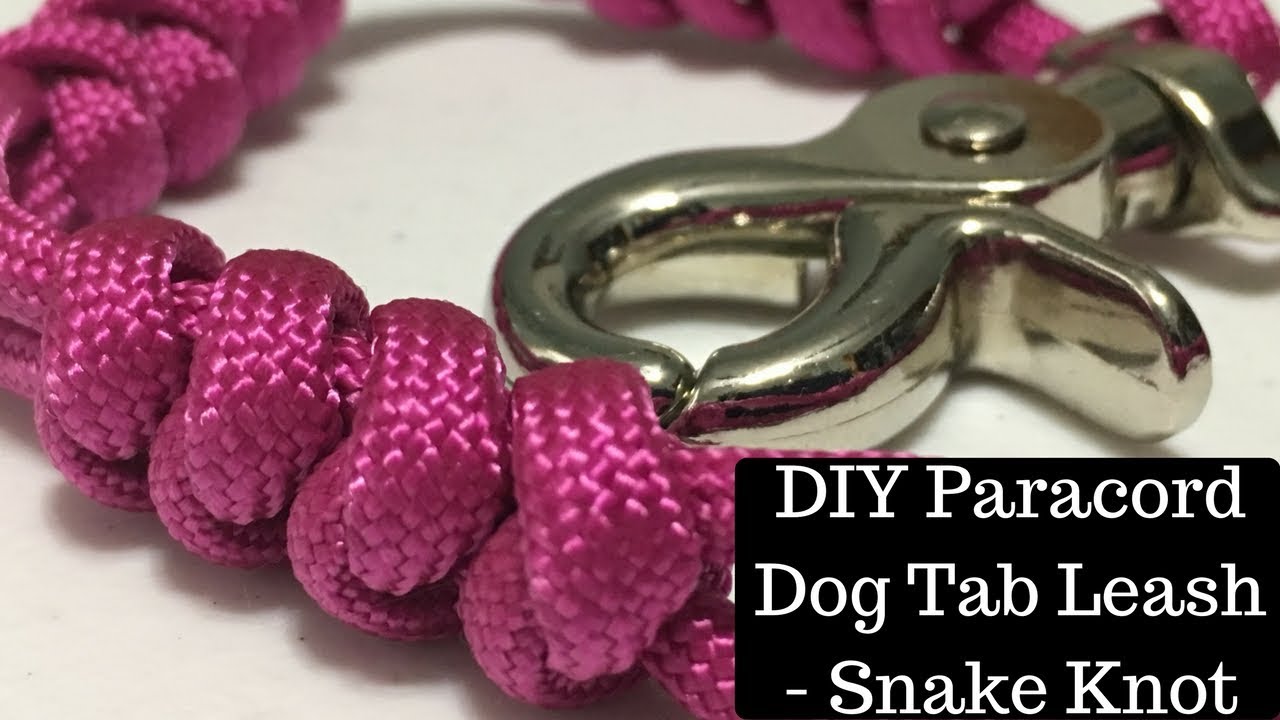 paracord dog leash patterns