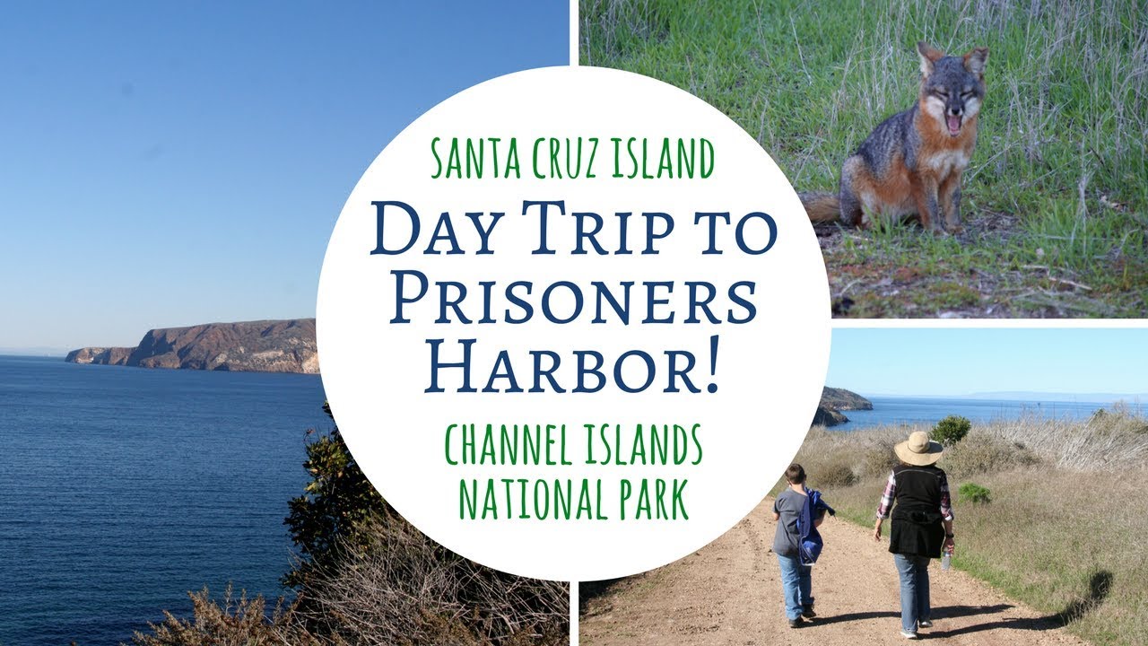 santa cruz island field trip