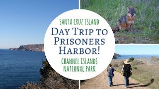 Day Trip to Prisoners Harbor, Santa Cruz Island / Channel Islands National Park! screenshot 5