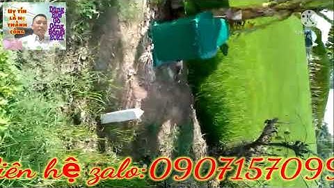 #170: ĐC xã Bình xuân DT 4440, mặc tiền đường 52m2, có 670 đất vườn, còn lại đất lúa, giá 2ty600tr