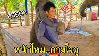 คน 4 คนล้อใบข้าวเชือกเดียวจะสำเร็จไหม?