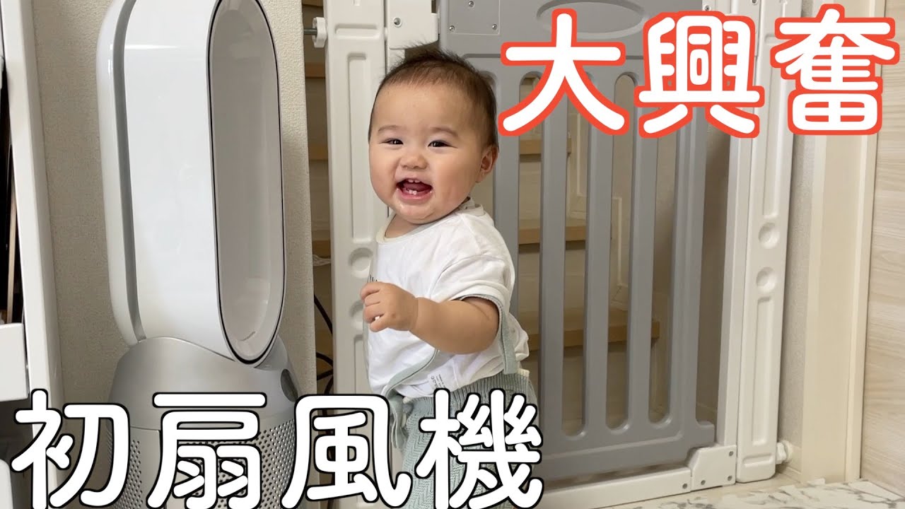 はじめての扇風機に大興奮な赤ちゃんが可愛いw Youtube