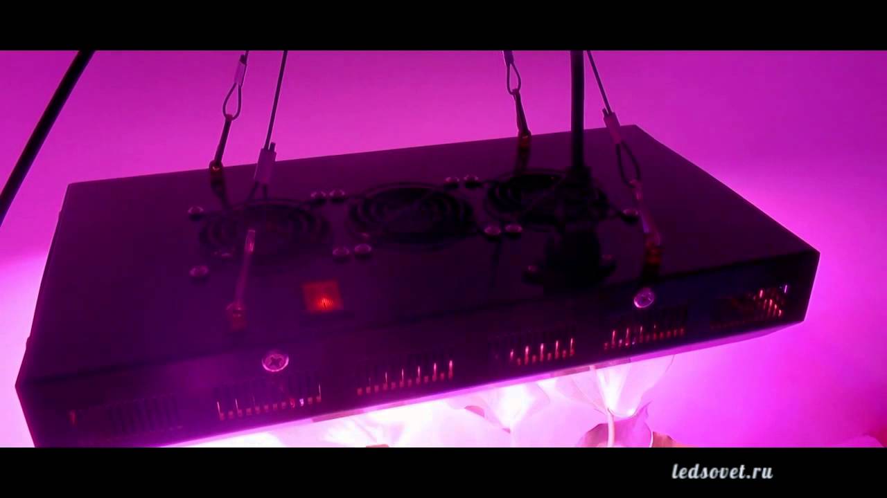 Фитолампа «Орион» 240 Вт led grow