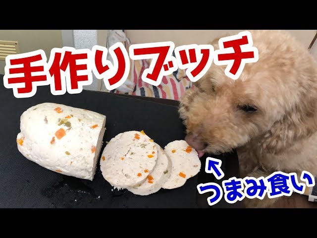 わんにゃードル 手作り食 旅 生活 の人気動画 Youtubeランキング