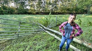 Destructive Storm Rips through the farm! Escaping Cows? NO!!!