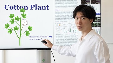 Cotton plant illustration in Inkscape | Tutorial cotton plant illustration part 2