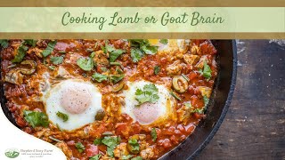Lamb or Goat Brain | Shepherd Song Farm