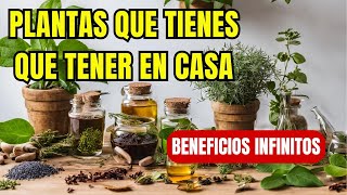 10 PLANTAS QUE MEJORAN TU PIEL Y TU BIENESTAR