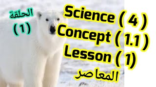 ساينس رابعة  / Concept 1.1/ lesson (1) المعاصر ازاى اشرحه لابنى بسهولة