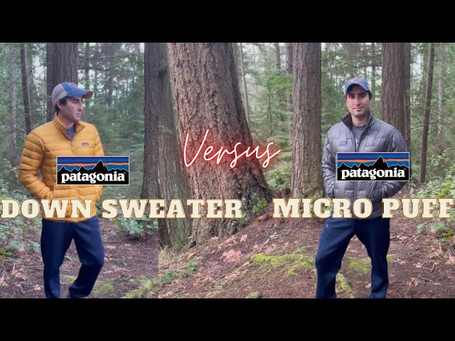 PATAGONIA Down Sweater Jacket Versus Hoody! What is the best deal