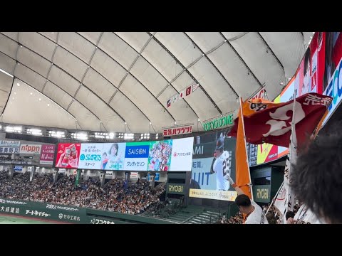 岡本和真 2025年 登場曲【蜂と蝶 - SOUL SCREAM】