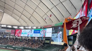 岡本和真 2025年 登場曲【蜂と蝶 - SOUL SCREAM】