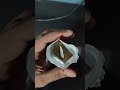 🐠 Horizone Royal Betta Food Unboxing! 📦#bettafish #bettacare #bettafood #aquariumhobby #ytshorts