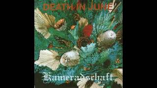 Death In June – Kameradschaft 1