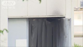 水族館のホシガメ展示ブース燃える　火元にヒーター(16/06/12)