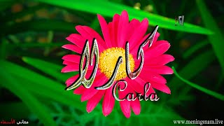 معنى اسم #كارلا وصفات حاملة هذا الاسم #Carla