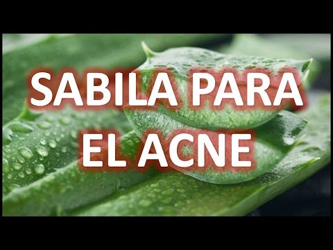 COMO SANAR EL ACNE CON ALOE VERA – SABILA PARA COMBATIR EL ACNE