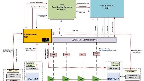 Disaggregated Optical Networks