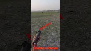 Duck Hunting in Pakistan | Ghillie Suits | No Blind | 2021-22 Season AIRGUN HUNTNG IN PAKISTAN