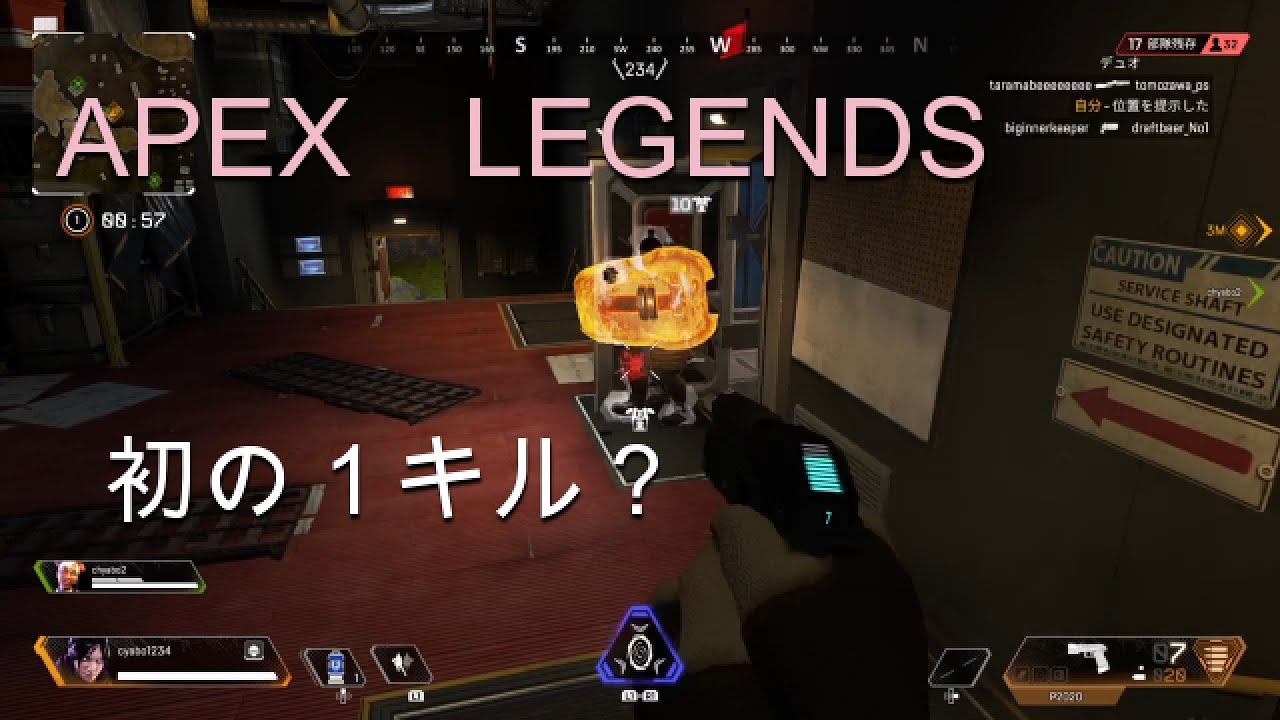 How To Play Caustic | Apex Legends Simple Beginners Guide 