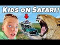 Lions hunting kids wild africa safari  river and wilder show