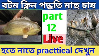 bottom clean fish farming process step by step ,বটম ক্লিনের গোপন রহস্য, part 12