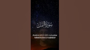 القارى انس شافعي سورة النمل تلاوة خاشعة
