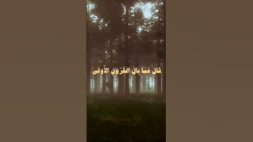 قَالَ فَمَن رَّبُّكُمَا يَا مُوسَىٰ.....#محمد_ايوب #quran #qurankareem #آيات #قرآن #قران_كريم#islam