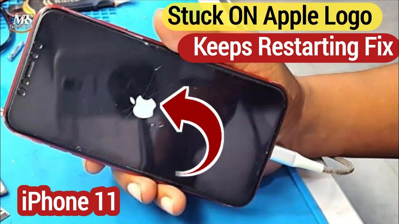IPhone Stuck ON Apple Logo Fix IPhone 11 Stuck In Restart Loop iphone-stuck-on-apple-logo-fix-iphone-11-stuck-in-restart-loop
