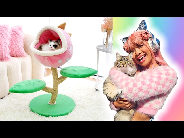 BUYING CUTE STUFF FOR MY KITTEN! with happyandpolly! class=