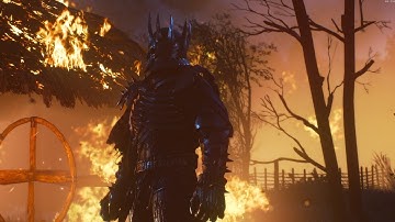 The Witcher 3: Wild Hunt - Part 14 -- The Nilfgaardian Connection