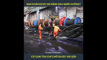 Cáp thép “siêu to khổng lồ” – công trình nào mới cần nó? 🏗️