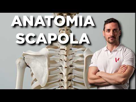 Video: Dov'è la scapola sul corpo?