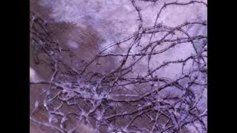 Atom Infant Incubator ‎– Turbulence