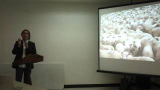 The Myth 2015 (Part 4 of 15)