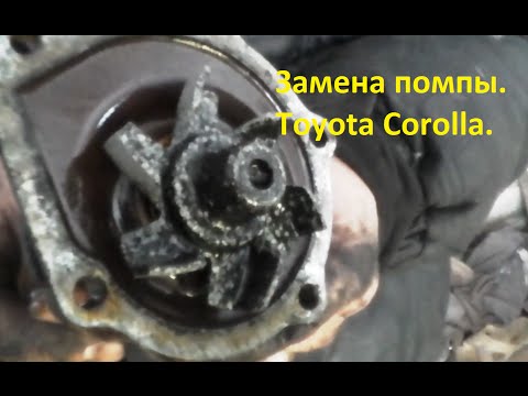 Замена помпы  Toyota Corolla