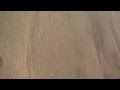 Samuel T. Moore of Corte Magore Book Release Trailer