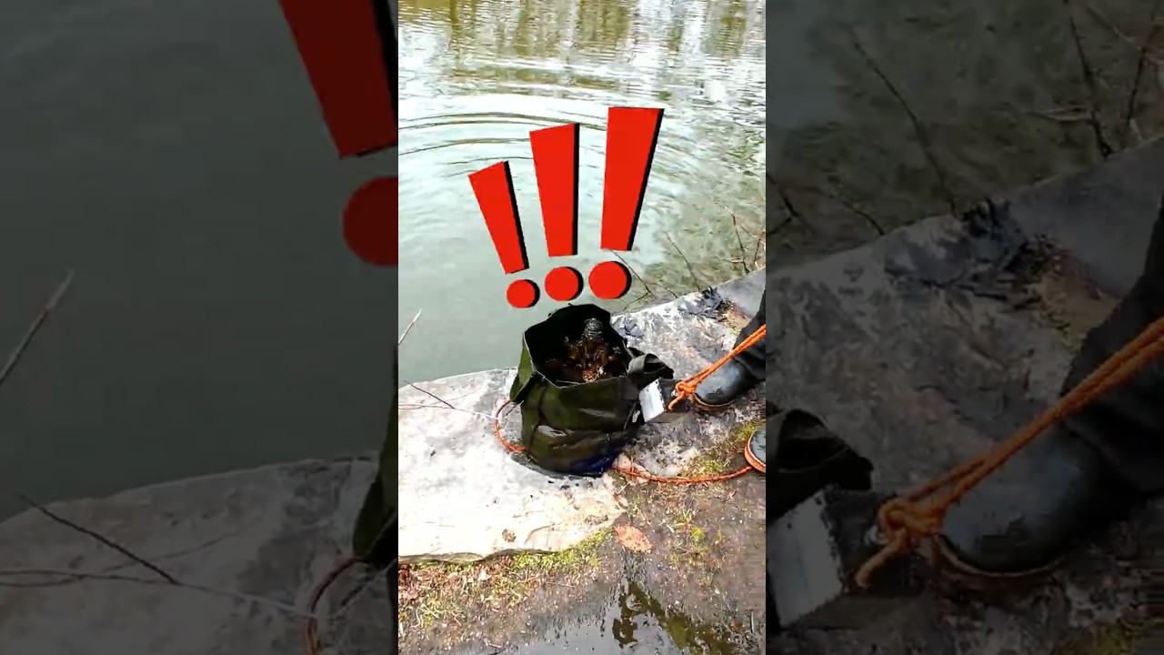 Historical treasure Unearthed Again  