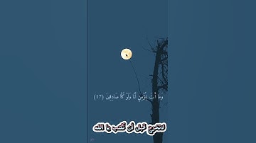 القران الكريم سبحانه من جمل صوته ماشاء الله