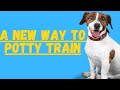 Potty Training a Jack Russell Terrier (A New Technique)