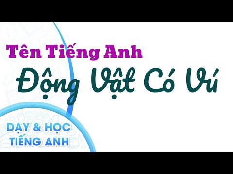 Video: Ai Thuộc động Vật Có Vú